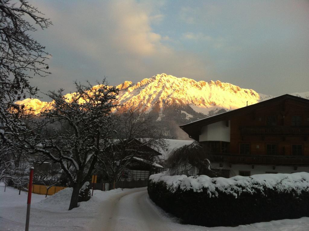Appartementhaus Zum Schneider Scheffau am Wilden Kaiser Buitenkant foto